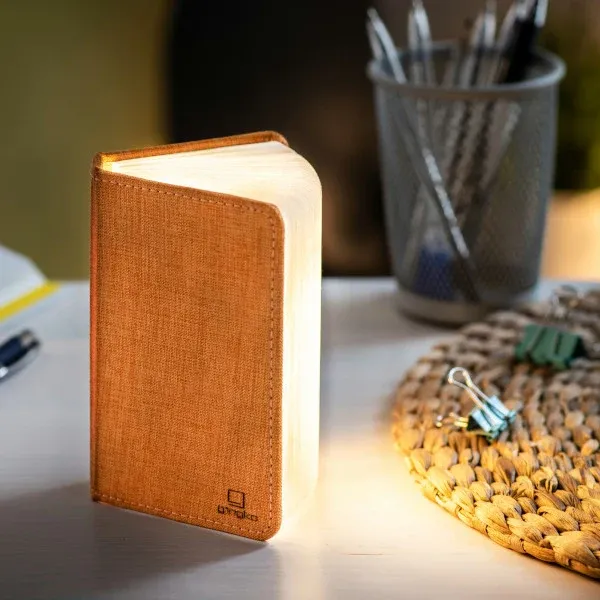 SMART-BOOK-LIGHT-Mini-Harmony-Orange-gingko-01