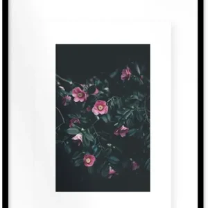 Affiche Flowers encadrée Moebe noir A2 - Le Renard - The Cool Republic