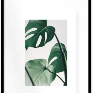Affiche Monstera encadrée Moebe noir A2 - Le Renard - The Cool Republic