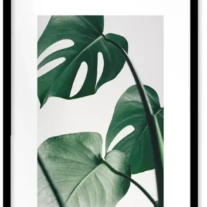 Affiche Monstera encadrée Moebe noir A3 - Le Renard - The Cool Republic