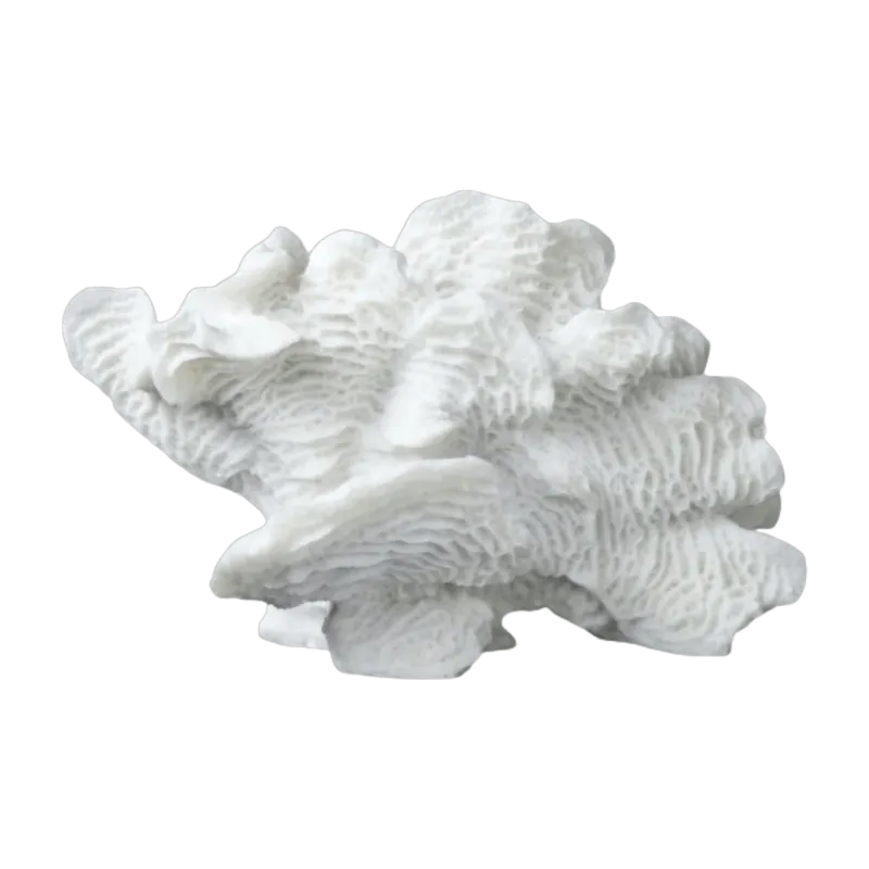 Corail éventail en polyrésine blanche 13 cm Coral - Mette Ditmer - The Cool Republic