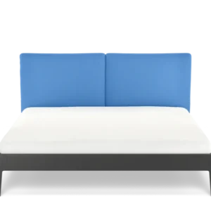 esche-tiefschwarz-strahlend-blau